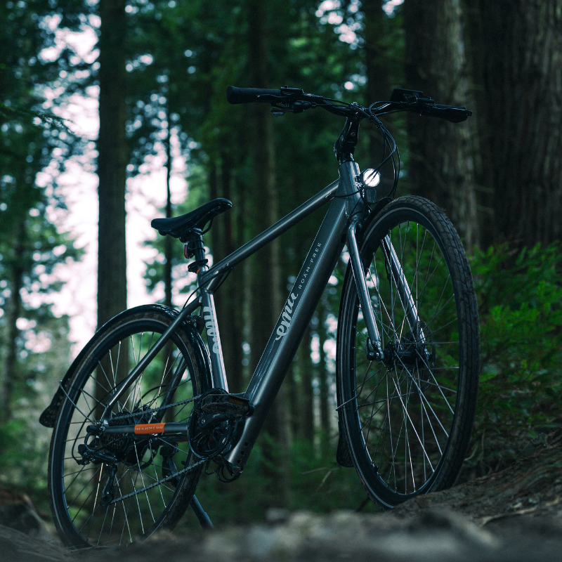 Emu Evo Crossbar Electric Bike 250w - Adventure Tribe