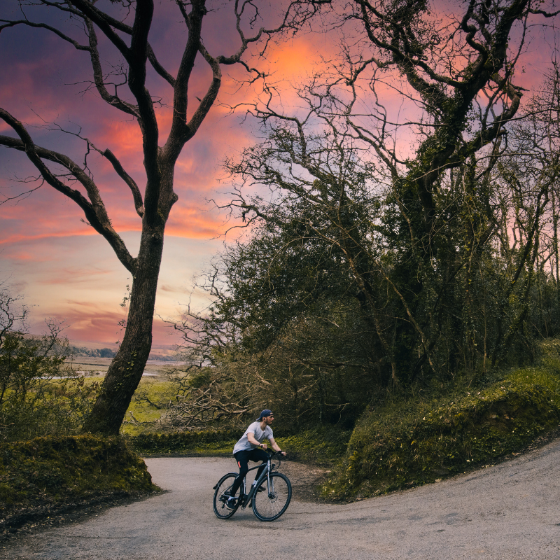 Emu Evo Crossbar Electric Bike 250w - Adventure Tribe