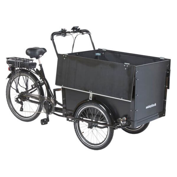 AM Cargo Electric Tricycle Workman 2 - Adventure Tribe