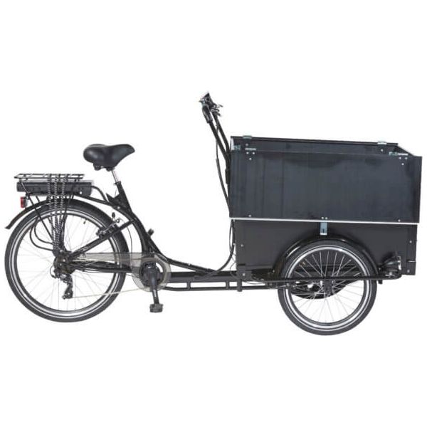 AM Cargo Electric Tricycle Workman 2 - Adventure Tribe